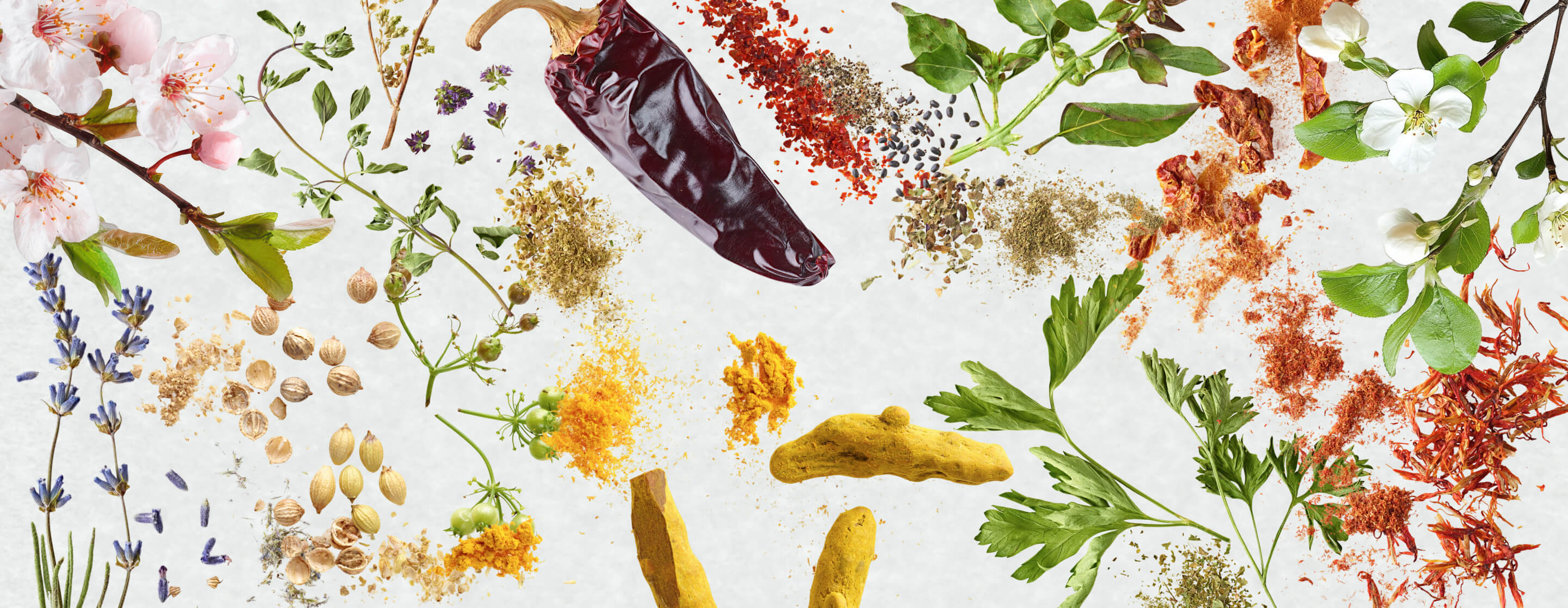 Elevate Every Dish with Artistry